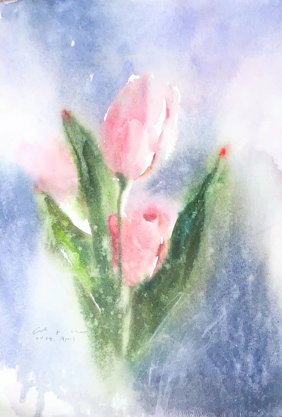 Watercolour of pink tulips with long green leaves against a soft lavender and blue background.