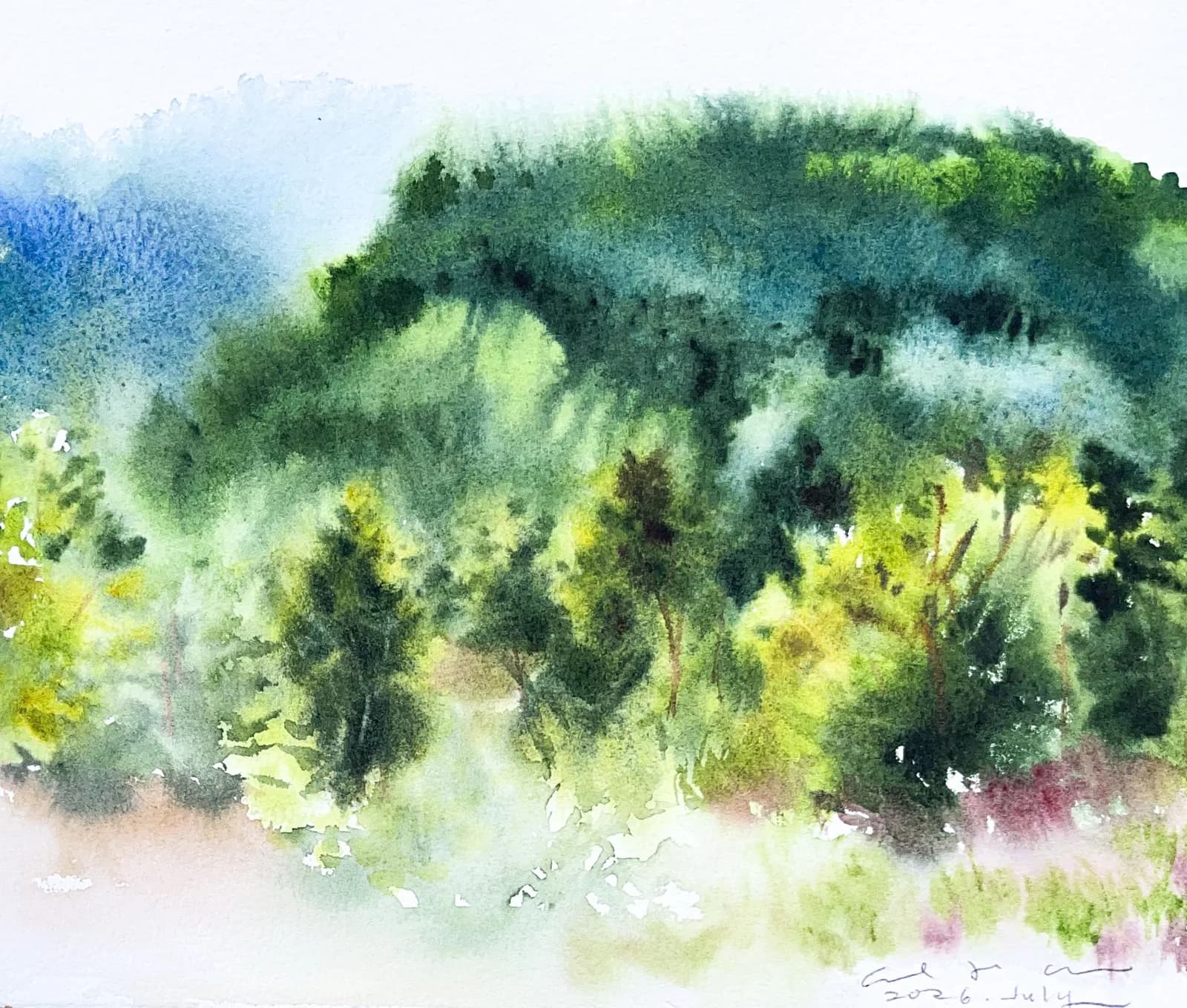 Watercolour of a hillside of dense green trees above a pale sunlit clearing.