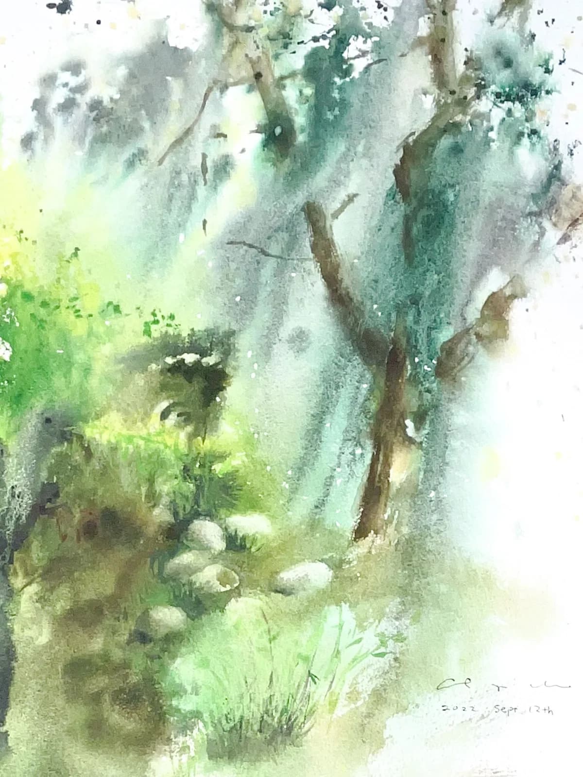 Watercolour of thin trees in a misty green forest with moss-covered rocks and ferns in the foreground.