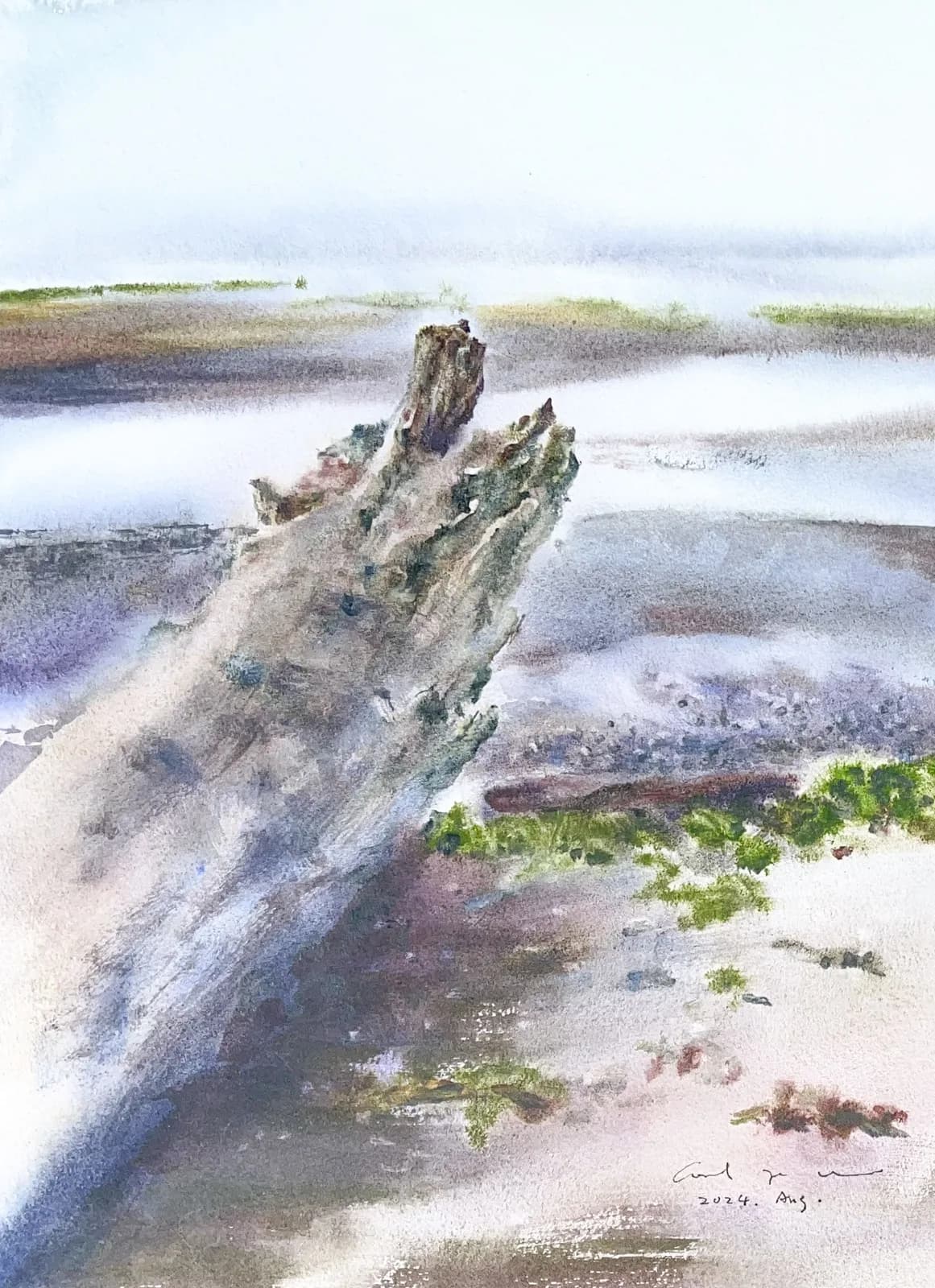 Watercolour of a large grey driftwood log on a sandy beach at low tide with green seaweed and distant water.