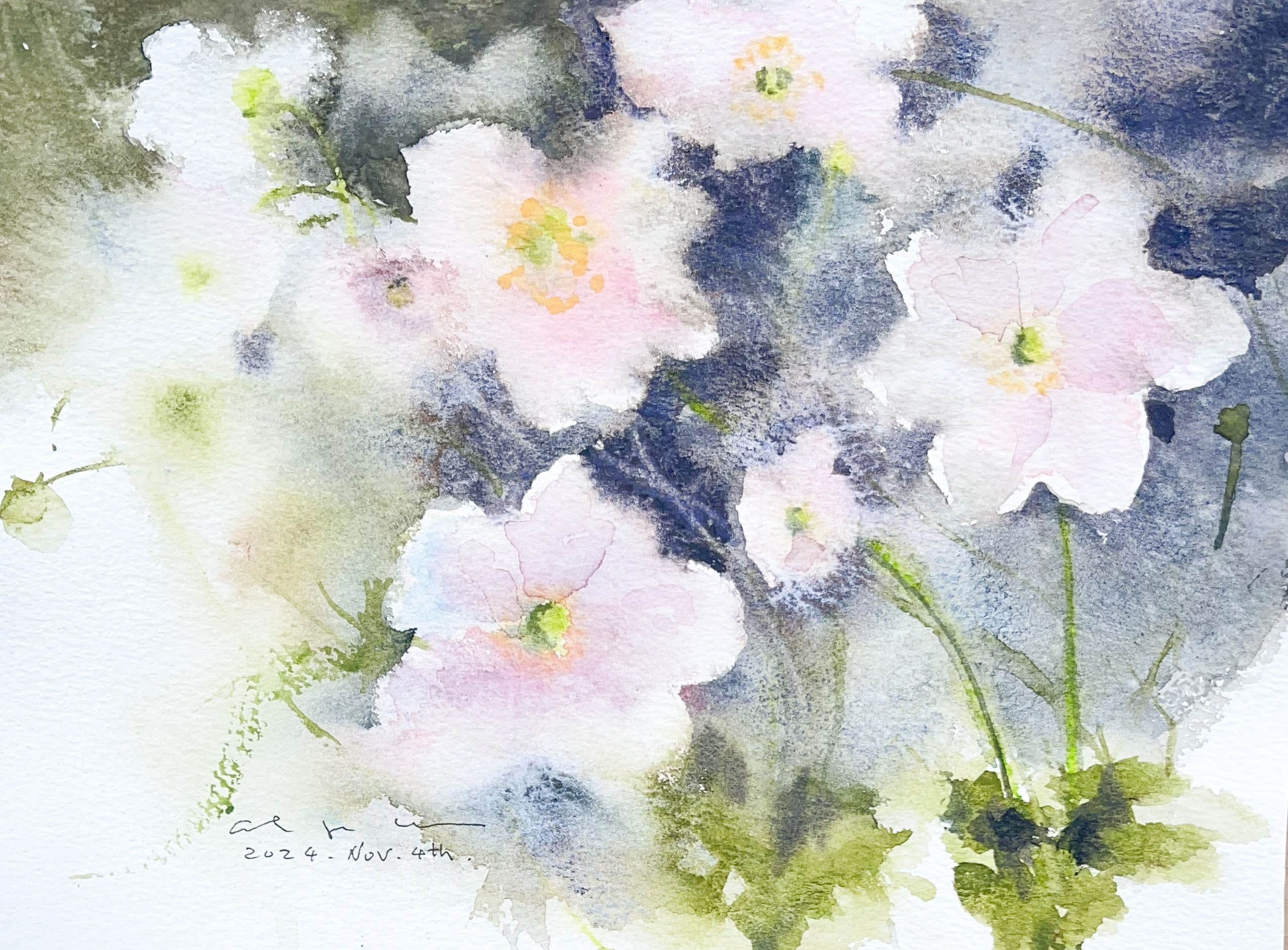 Watercolour of pale pink flowers with yellow centres against a dark blue and grey background with green stems.